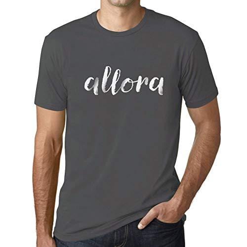 Ultrabasic - Herren T-Shirt Graphique Allora Gris Souris
